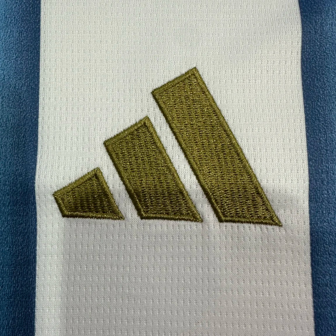 2026 Argentina Home Football Jersey
