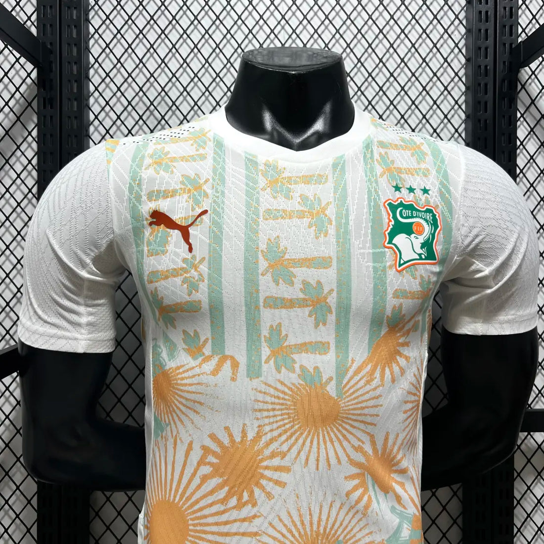 2026 Player Version Ivory Coast Away Football Jersey