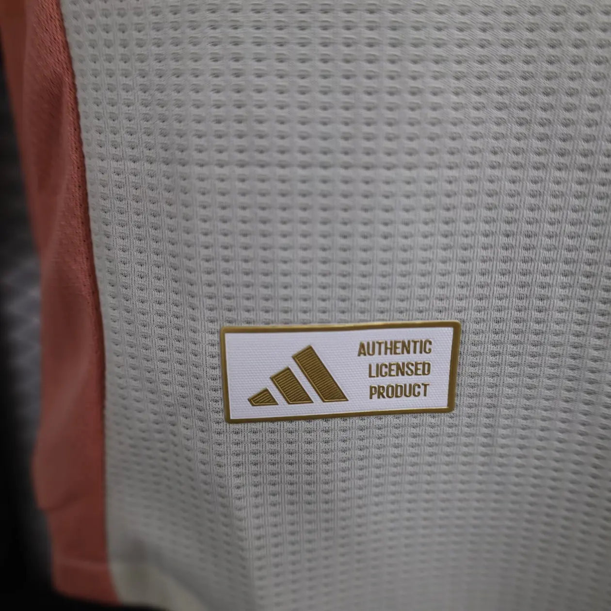 2024/2025 Player Version Lyon Third Away Football Jersey
