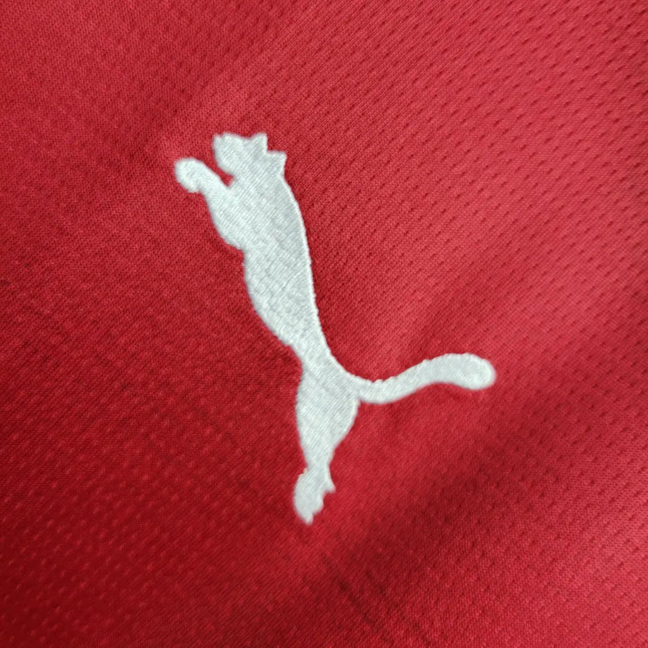 2024 Serbia Home Football Jersey