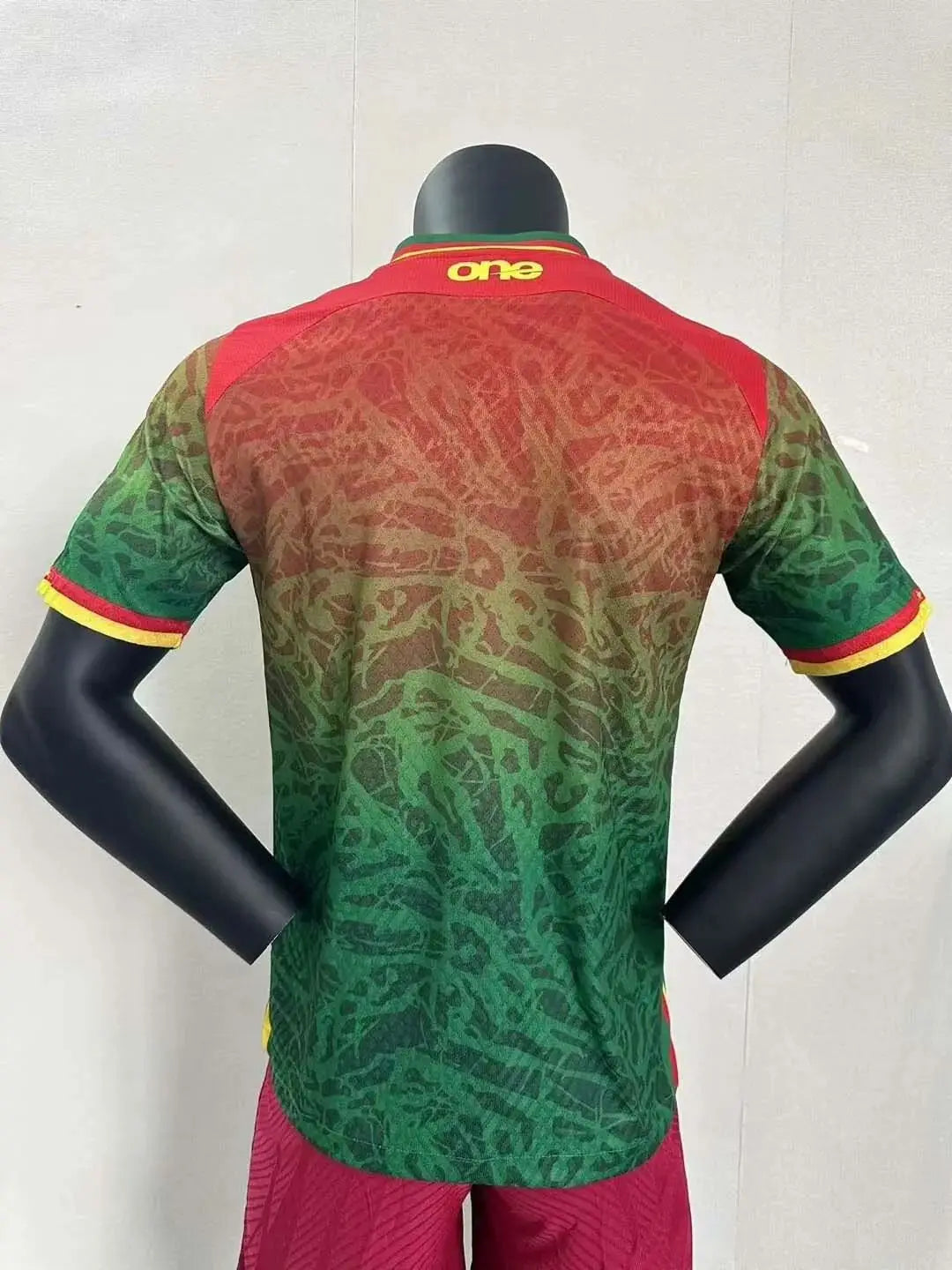2024 Player Version Cameroon Home Football Jersey